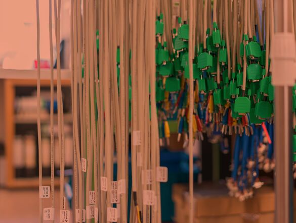 Vorkonfektionierte Kabel von a a-plus Datenkabel und Kommunikationssysteme Ständer mit vorkonfektionierten Kabeln